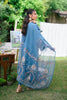 Qalamkar Qline Linen Collection 2022 – VL-10 ROOH