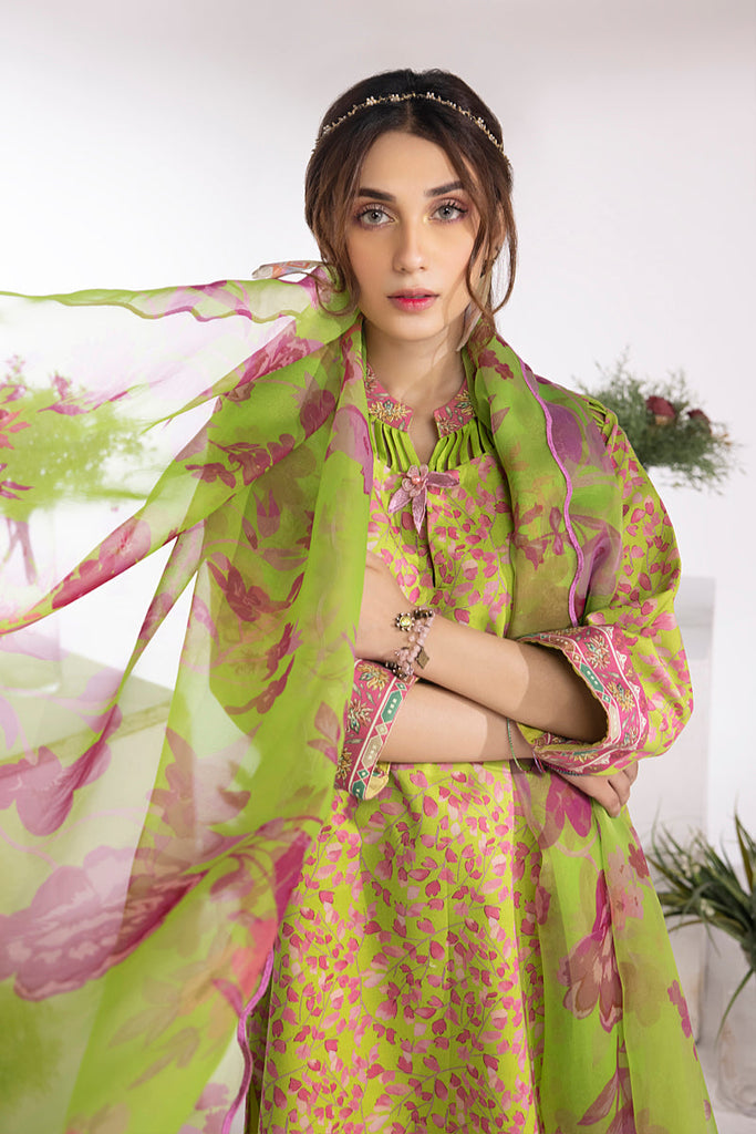 Rang Rasiya Summer Breeze Lawn Collection – Kelly