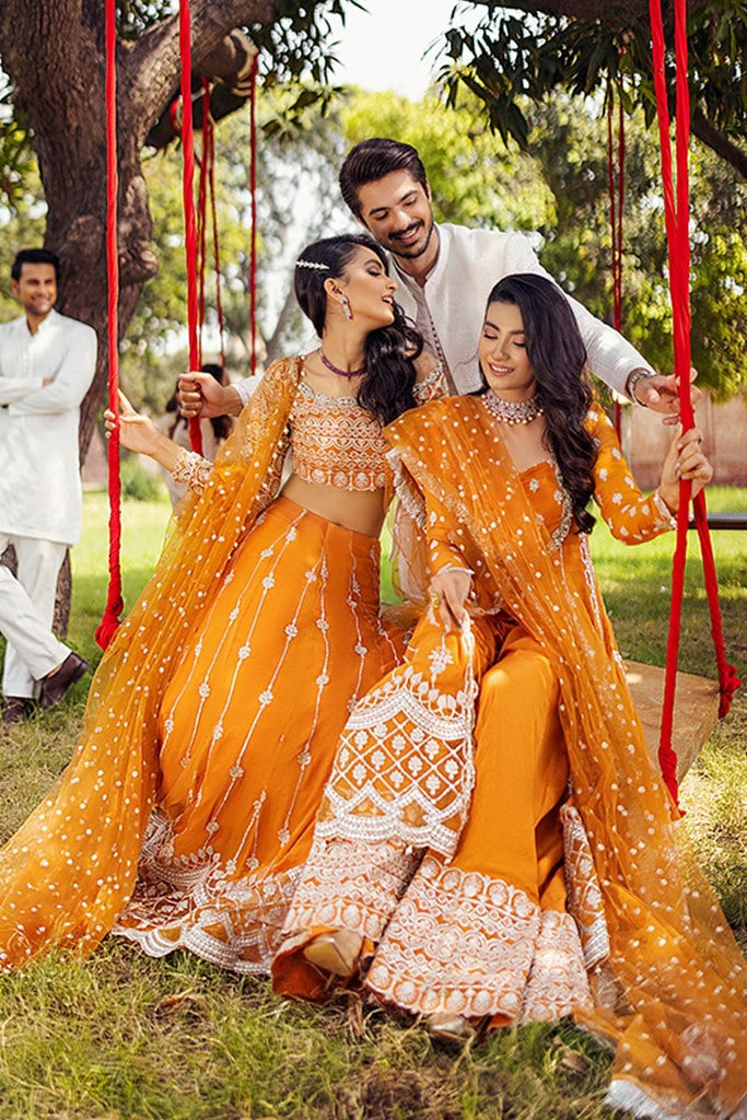 Mushq Tissue De Luxe Hawa Mahal Collection – Surajmukhi