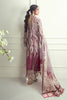 Sana Safinaz Luxury Festive Collection 2020 – 2B-CJ