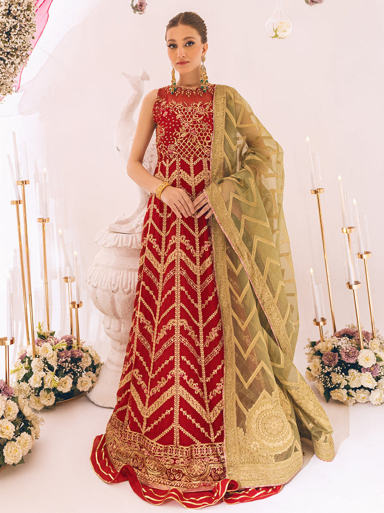 Roheenaz Sawariya Luxury Kalidaar Chiffon Formal Collection – DN-03