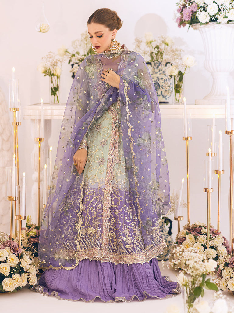 Roheenaz Sawariya Luxury Kalidaar Chiffon Formal Collection – DN-04