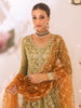 Roheenaz Sawariya Luxury Kalidaar Chiffon Formal Collection – DN-05