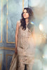 Rungrez Czarina - Surreal Luster Chiffon & Silk Collection – Silver Splendor - YourLibaas
 - 2