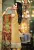 ZarQash Dreamy Desires Festive Collection – ZQ-07 - YourLibaas
 - 3