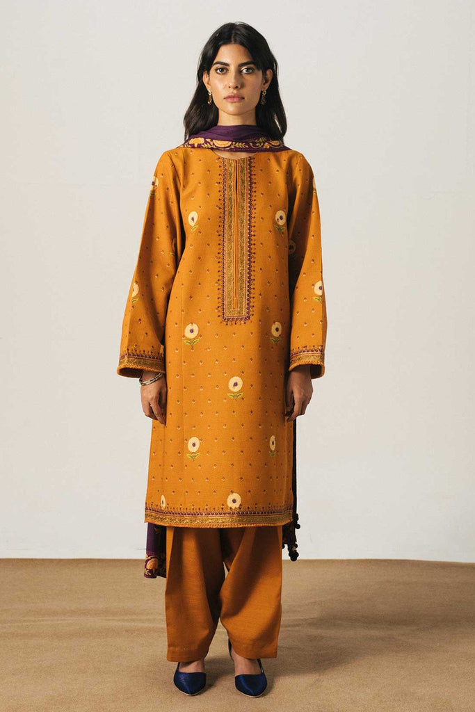 Zara Shahjahan Coco Winter Collection 2020 – ZW20-6A
