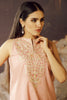 AlKaram Winter Collection 2019 – 1 Piece Embroidered Khaddar Shirt – FW-44.1-19-Light Pink