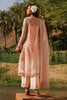 Sana Safinaz Raahi Luxury Lawn Collection 2023 – L231-013A-CZ