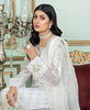 Noor's Banafsh Embroidered Chiffon Collection – D-3