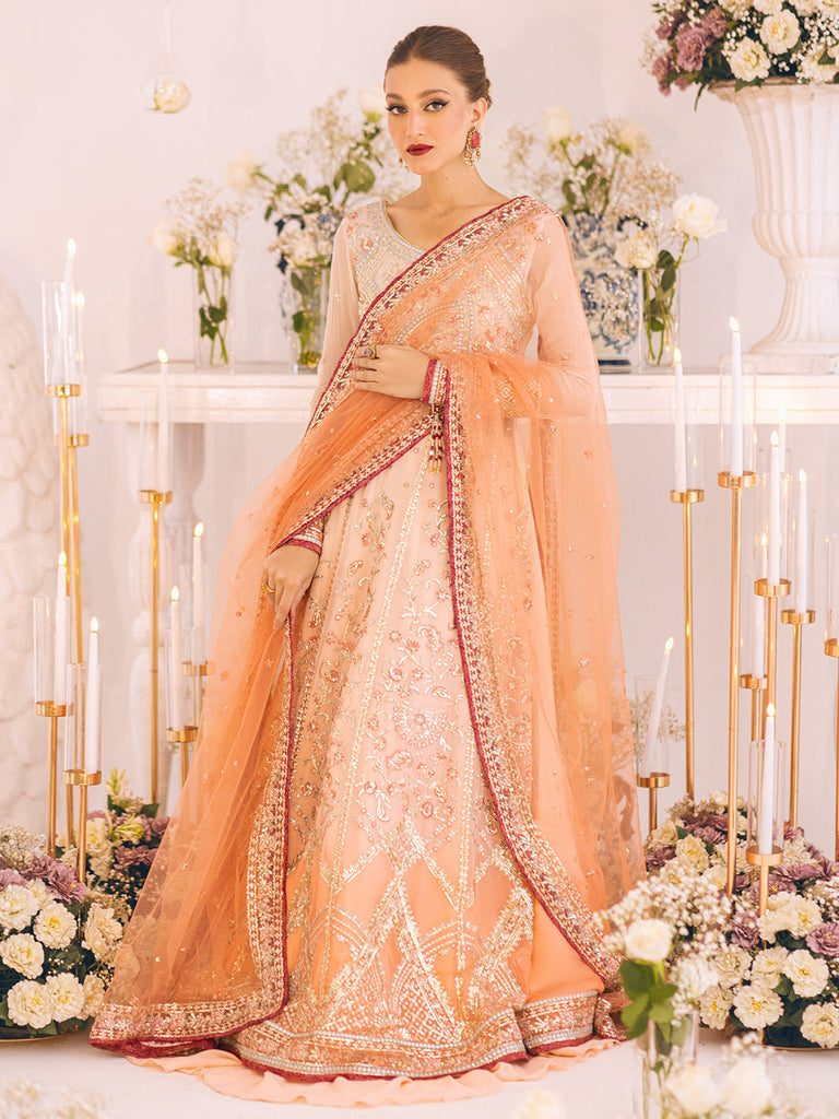 Roheenaz Sawariya Luxury Kalidaar Chiffon Formal Collection – DN-01